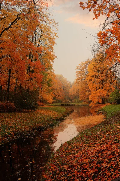 Parque Outono Setembro Caminho Com Folhas Vermelhas Nevoeiro Denso Bela — Fotografia de Stock