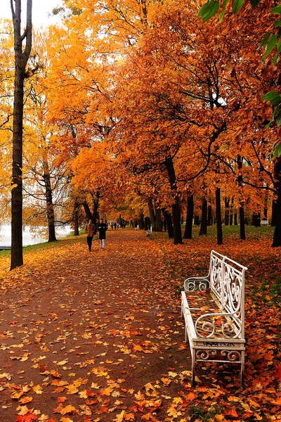 Rosja Sankt Petersburg Października 2018 Alexander Park Zdjęciu Jesienna Alejka — Zdjęcie stockowe
