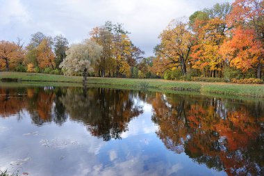 Rusya 'da Ekim sonbahar parkı, gölde sarı yapraklı ve yansımalı ağaçlar, Alexander Park, Leningrad Bölgesi. Parktaki güzel sonbahar manzarası, mevsimler, güzel ormanlarda seyahat.