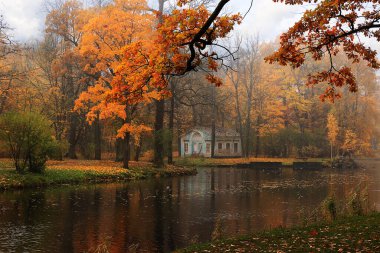Rusya, St. Petersburg, 13 Ekim 2018, Alexander Park. Resim, sonbahar sisli ve parlak yapraklı bir sonbahar göleti ve bir çocuk evi. Ekim ormanının güzelliği