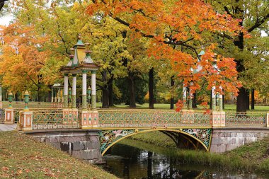 Rusya, St. Petersburg, 28 Eylül 2019, Alexander Park. Fotoğrafta, yaprakları dökülen bir sonbahar göleti ve Cross Köprüsü. Eylül ormanının güzelliği