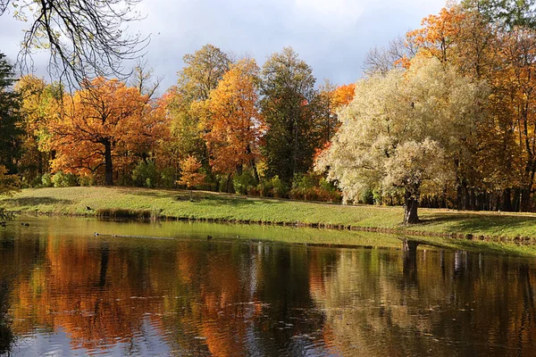 Outubro Parque Outono Rússia Árvores Com Folhas Amarelas Reflexão Lago — Fotografia de Stock