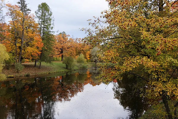 Rusya 'da Ekim sonbahar parkı, gölde sarı yapraklı ve yansımalı ağaçlar, Alexander Park, Leningrad Bölgesi. Parktaki güzel sonbahar manzarası, mevsimler, güzel ormanlarda seyahat.