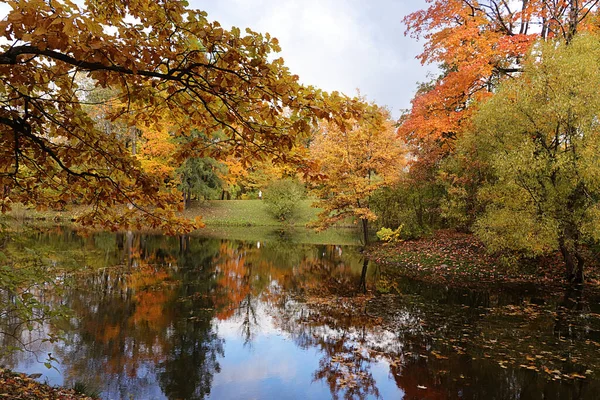 Outubro Parque Outono Rússia Árvores Com Folhas Amarelas Reflexão Lago — Fotografia de Stock