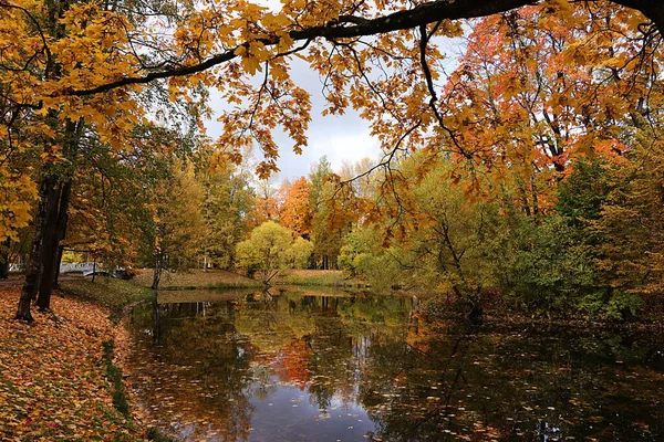 Październikowy Jesienny Park Rosji Drzewa Żółtymi Liśćmi Refleksja Jeziorze Alexander — Zdjęcie stockowe
