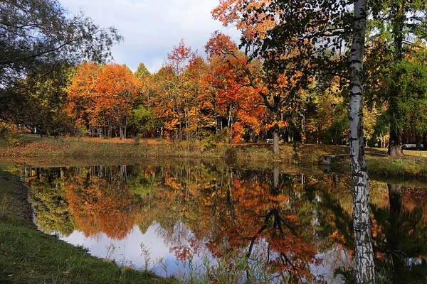 Outubro Parque Outono Rússia Lago Com Folhas Vermelhas Reflexão Lago — Fotografia de Stock