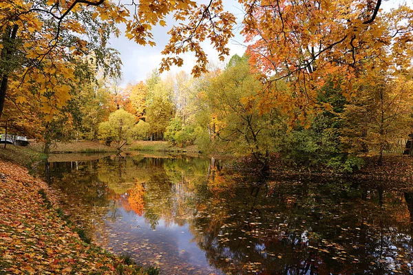 Октябрьский Осенний Парк России Озеро Красными Листьями Отражением Озере Парк — стоковое фото
