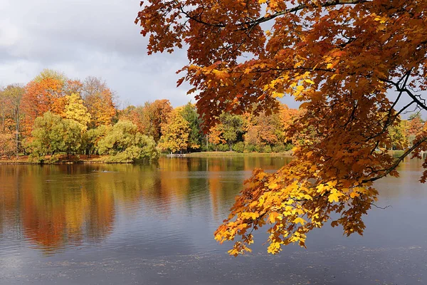 Outubro Parque Outono Rússia Lago Com Folhas Vermelhas Reflexão Lago — Fotografia de Stock