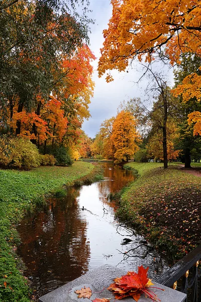 Październikowy Jesienny Park Rosja Jezioro Czerwienny Liść Odbicie Jezioro Ołeksandr — Zdjęcie stockowe