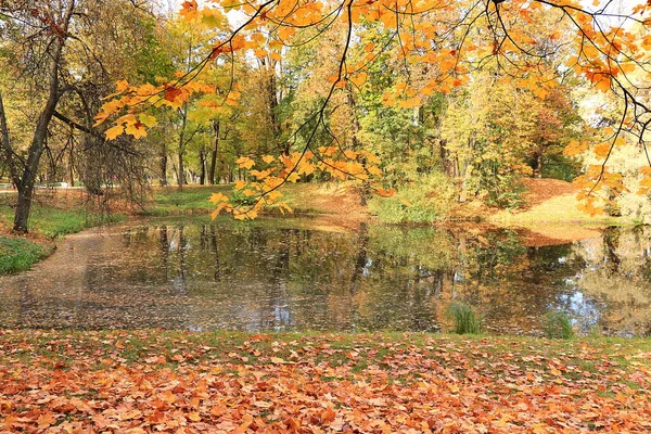 Outubro Parque Outono Rússia Lago Com Folhas Vermelhas Reflexão Lago — Fotografia de Stock