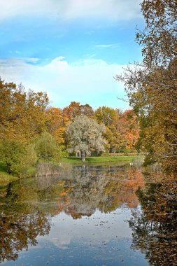 Rusya 'da Ekim sonbahar parkı, gölde kırmızı yapraklar ve yansımalar, Aleksandrovsky parkı, Tsarskoe Selo, Leningrad bölgesi. Sonbahar manzarası,