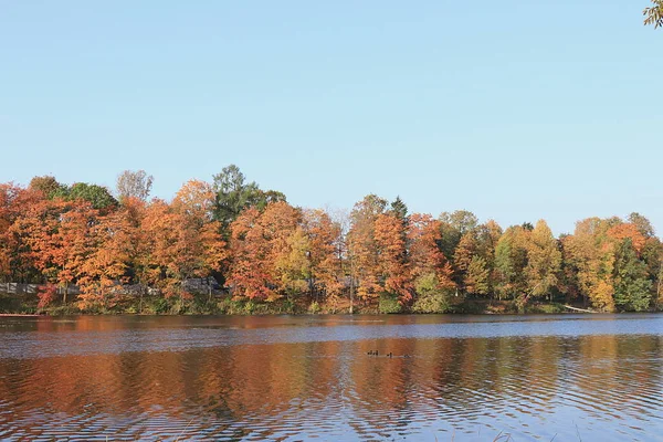 Oktober Höstpark Ryssland Sjö Med Röda Blad Och Reflektion Sjön — Stockfoto