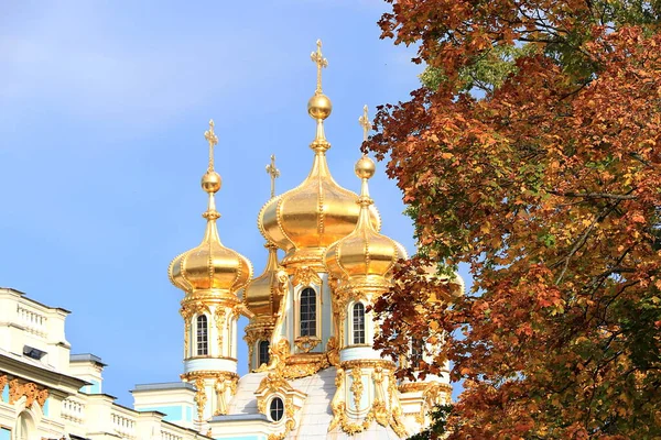 Russland Petersburg Oktober 2020 Ekaterinsky Park Das Foto Zeigt Die — Stockfoto