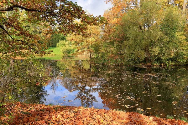 Outubro Parque Outono Rússia Lago Com Folhas Vermelhas Reflexão Lago — Fotografia de Stock