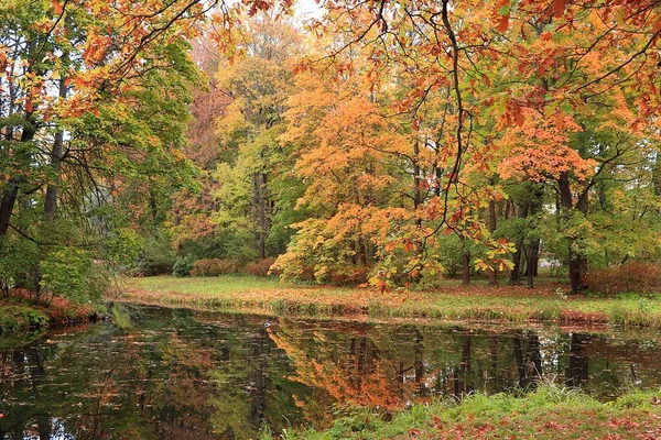 Outubro Parque Outono Rússia Lago Com Folhas Vermelhas Reflexão Lago — Fotografia de Stock