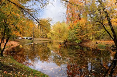 Rusya 'da Ekim sonbahar parkı, gölde kırmızı yapraklar ve yansımalar, Aleksandrovsky parkı, Tsarskoe Selo, Leningrad bölgesi. Sonbahar manzarası