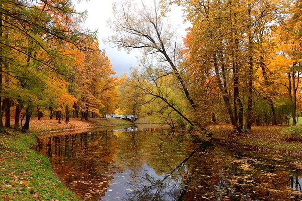 Outubro Parque Outono Rússia Lago Com Folhas Vermelhas Reflexão Lago — Fotografia de Stock