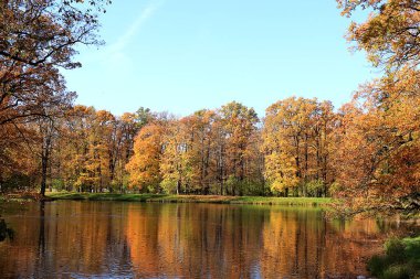 Rusya 'da Ekim sonbahar parkı, gölde kırmızı yapraklar ve yansımalar, Aleksandrovsky parkı, Tsarskoe Selo, Leningrad bölgesi. Sonbahar manzarası,