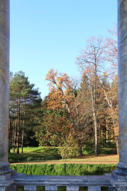 Rusya, St. Petersburg, 10 Ekim 2020, Alexandrovsky Park, Tsarskoe Selo. Fotoğraf, Mermer Köprü 'nün kemerinden dökülen yapraklarla dolu bir sonbahar göletini gösteriyor. Ekim Ormanının Güzelliği