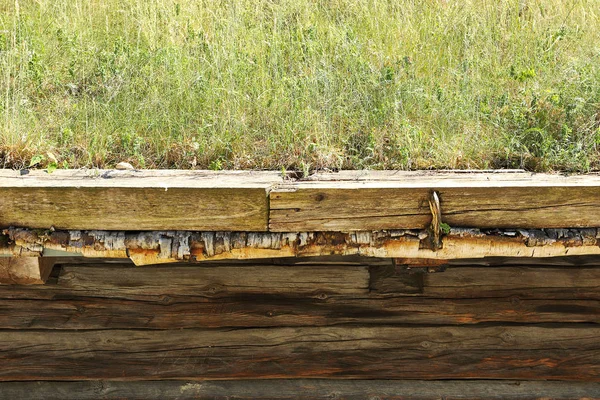 芝や白樺の樹皮を持つノルウェーの伝統的な屋根の詳細 — ストック写真