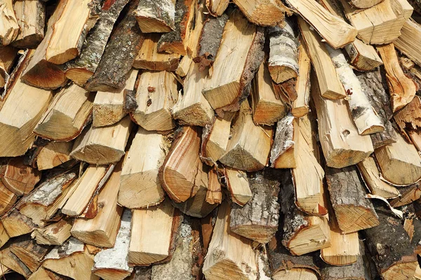 Stack Fire Wood Textured Image — Stock Photo, Image