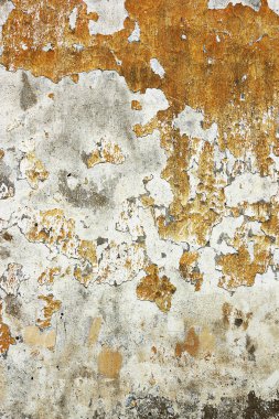 Sıva yüzeyi, duvarındaki yükselen su etkileri yıpranmış