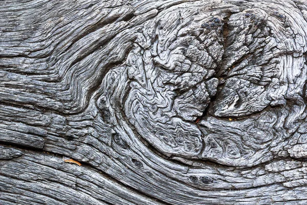 Beautiful Knot Old Oak Board Textural Image Weathered Plank Quercus — Stock Photo, Image