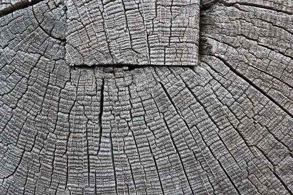 古い風化ログオン カット横に木製の梁ジョイント テクスチャ画像の詳細 — ストック写真