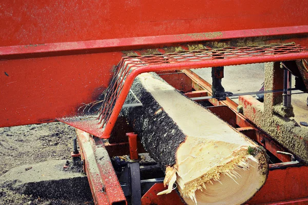 Pohon Ditebang Pabrik Gergaji Detail Memotong Papan Kayu Cemara — Stok Foto