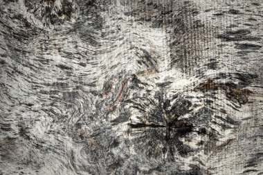 Elm ahşap zemin, tasarımınız için ahşap doku