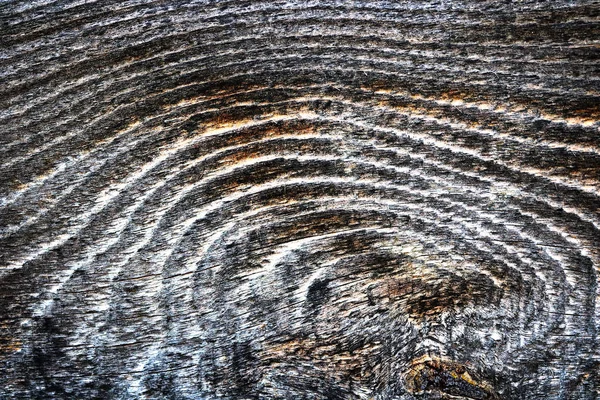 Detalle Tablón Madera Abeto Sección Tangencial Con Anillos Anuales — Foto de Stock