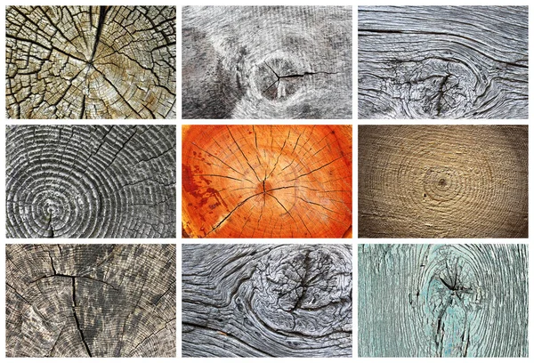Collection de textures en bois noueuses — Photo