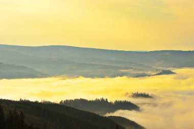 vadilerde turuncu sis