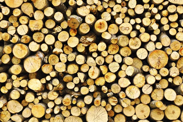 Texture of cut firewood pile — Stock Photo, Image