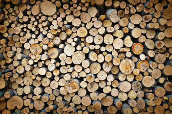 Tumpukan kayu bakar beech bertekstur — Stok Foto