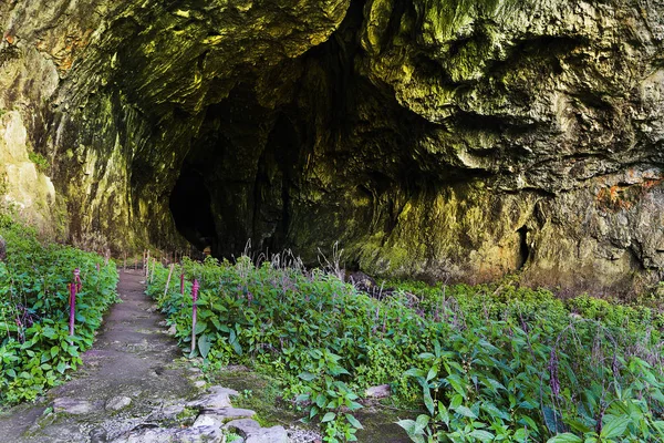 Entrance in Unguru Mare cave — Stock Photo, Image