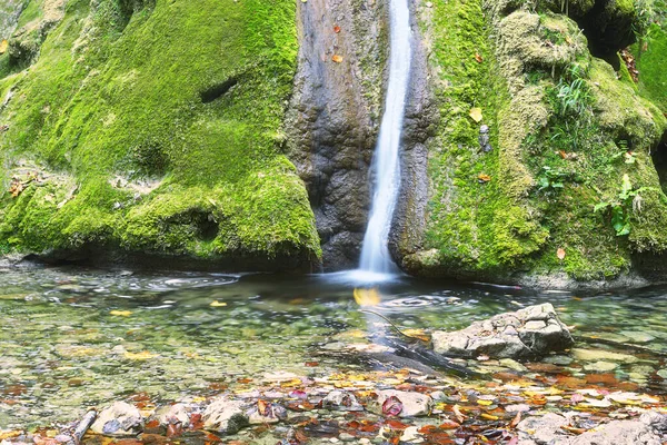 Вид Водопад Сусара Ручей Протекающий Над Кошачьей Скалой — стоковое фото
