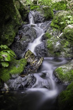 Romanya 'nın Tureni vadisindeki kireçtaşı vadisindeki dağ akıntıları