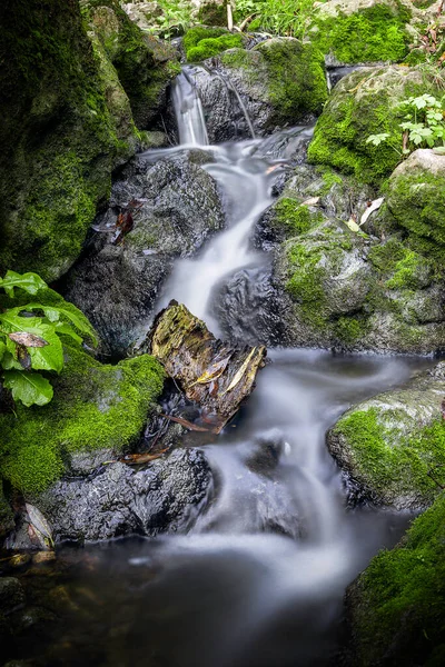 Romanya 'nın Tureni vadisindeki kireçtaşı vadisindeki dağ akıntıları