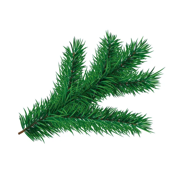 Fir Tree Branch Vectorelement Voor Kerstmis Nieuwjaar Wenskaart — Stockvector