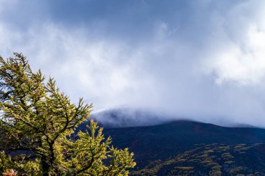 Fuji Dağı kadar yakın arka plan.