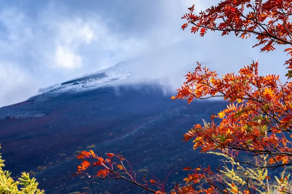 Background Close Mount Fuji — Stock Photo, Image
