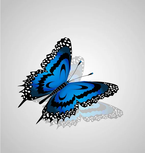 Vacker blå fjäril illustration — Stock vektor