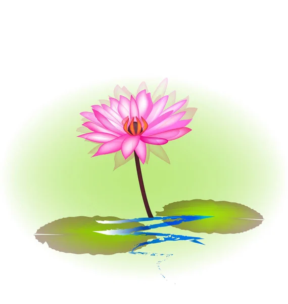 Pink lotus növény ikon-vektoros — Stock Vector