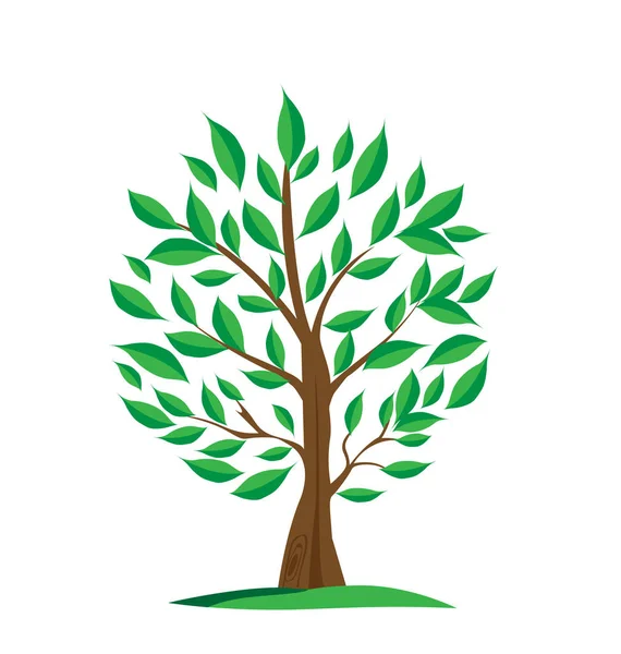 Ikon pohon hijau yang terisolasi lingkungan - Stok Vektor