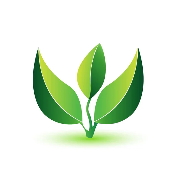 Gröna blad - friska plantera logotyp — Stock vektor