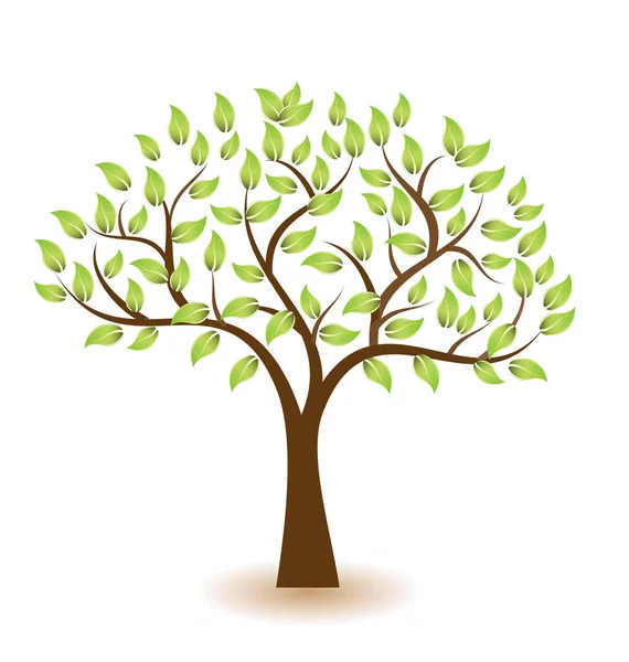 Árbol vectorial estilizado con hojas verdes. Elemento de diseño — Vector de stock