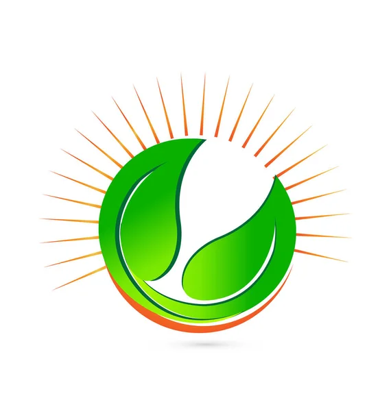 Foglie verdi intorno all'icona del sole — Vettoriale Stock