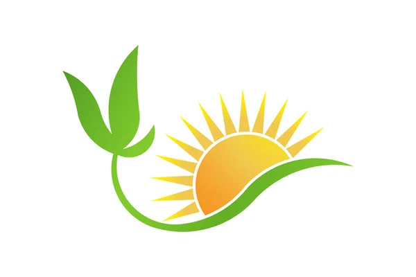 Yeşil biyo-güneş enerjisi. Bitki ve güneş logo vektör — Stok Vektör
