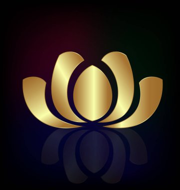 Altın lotus bitki siyah arka plan